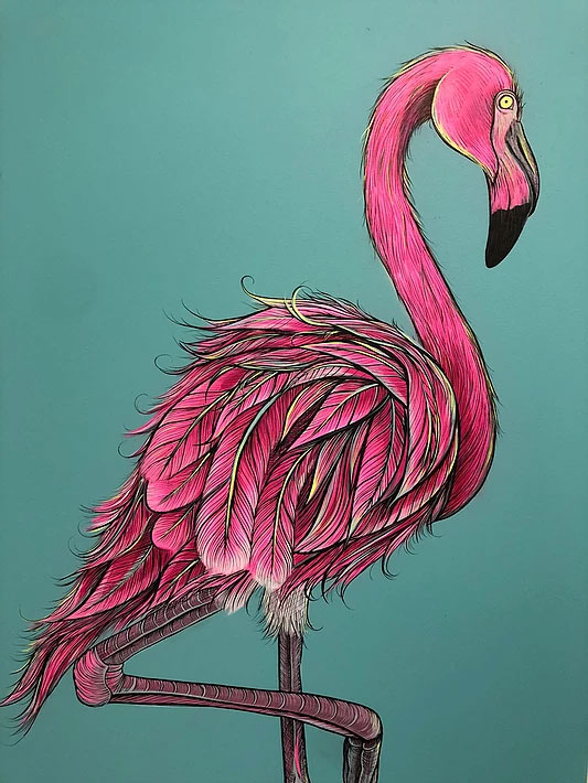 Deb Stanley Art Blog  How to draw flamingo, Art blog, Drawings