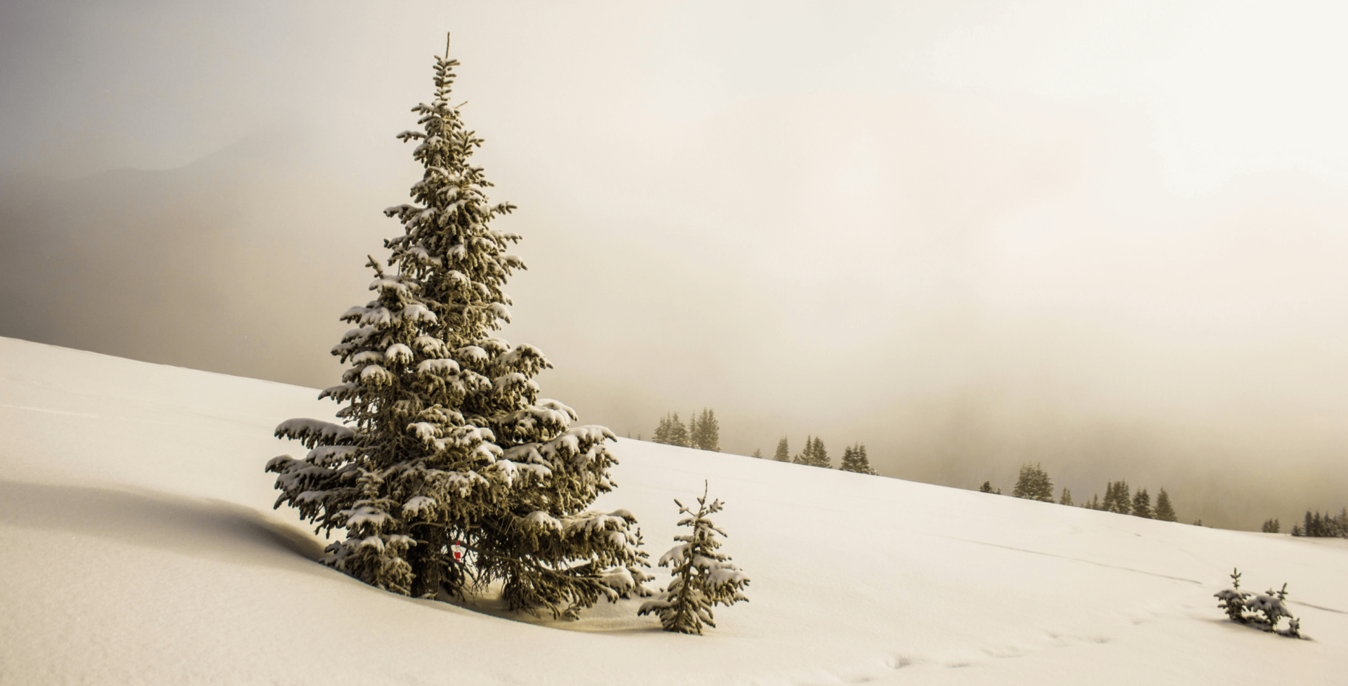 Where in the World is Barry?