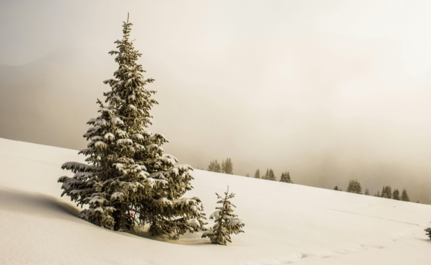 Where in the World is Barry?